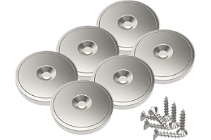 Magnetpro 6 pezzi magneti 25 kg forza 28 x 5 mm con capsula, magnete al neodimio a disco con base in acciaio con viti
