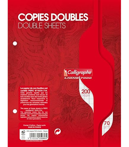 Calligraphe ES 9333c - Un Paquete De Hojas Sueltas En Film - A4 21x29,7 Cm - 300 Páginas Cuadrados Grandes - Papel Blanco De 90 G - Para Carpeta 32x26 Cm Mínimo