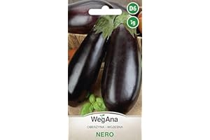 WegAna Berenjena Nero Semillas de Hortalizas Robustas Hortalizas 1g, Semillas Balcón & Jardín