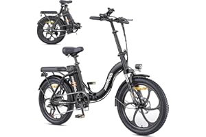 HILLMILES MTB HillMiles MilePort 1 adulto bicicletta elettrica, 36V 13AH batteria rimovibile 250w motore con 20 '*3.0' Fat Tire pieghevole bici elettrica, velocità 25KM/H gamma fino a 100KM città pendolare