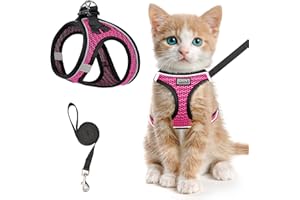 HAHEITA Cat Harness and Lead Set for Walking Escape Proof, Adjustable Kitten Vest Harness Reflective Soft Mesh Puppy Vest for Outdoor, Comfort Fit, Easy to Control