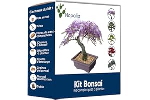 GÉNÉRIQUE Kit Bonsai Nopalia - Faites Pousser Vos Propres Bonsais d’Intérieur | Idée Cadeau Originale | Kit Jardinage Intérieur avec Graines Bonsa