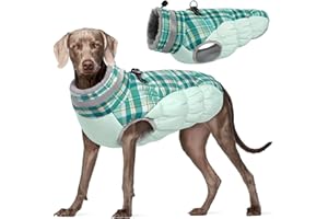 Kuoser Warme Hundejacke, Reflektierende Hundemantel, Winddichte Hundemantel für Kleine Hunde,Moden Hundemantel Grosse Hunde, Hunde Wintermantel, Hundemantel Mit Geschirr Grün L