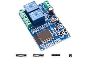 Binghe ESP Relais 2-Kanal Modul, ESP-32 Relais Entwicklungsboard mit 4 MB Flash Dual-Wifi DC5-60V Stromversorgung für Sekundäres Entwicklungslernen（LC-Relay-ESP32-2R-D5）