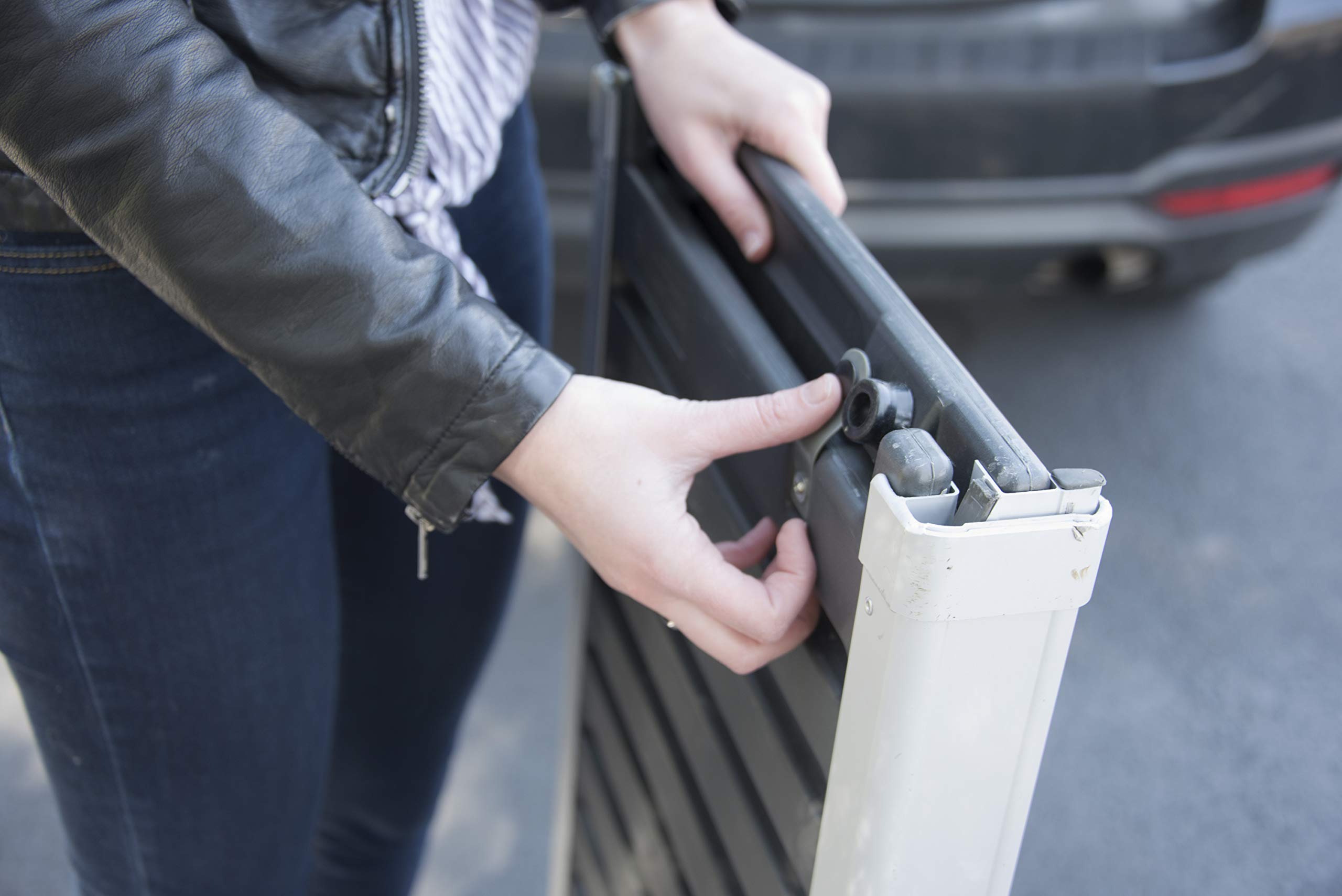 PetSafe Solvit Telescopic Pet Ramp, Extra Large, 119 cm 220 cm, Large