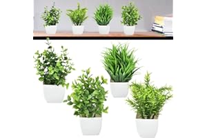 CAREDGO 4 Stück künstliche Pflanzen mit Topf Plastikpflanzen Fake Pflanzen aus Kunststpff Grüne Gras Künstliche Pflanzen Mini Künstliche Pflanzen Deko Artificial Plant Klein als Deko, 18 *6.5 *6.5cm