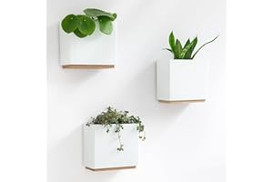 Kazai. Jardinières Murales -Alma- | 3 Pots de Fleurs Suspendus Modernes en Résine | Ensemble de Porte-Plantes pour Plantes d'intérieur, Plantes artificielles et Plus | Blanc