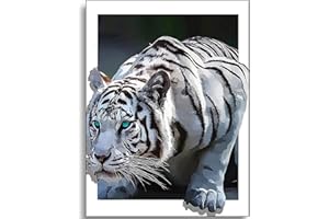 Instarry 5D Diamond Painting Quadri Grandi Dimensioni Tigre Bianca Pittura Diamante Artigianato per Decorazioni Murali 75x50 cm