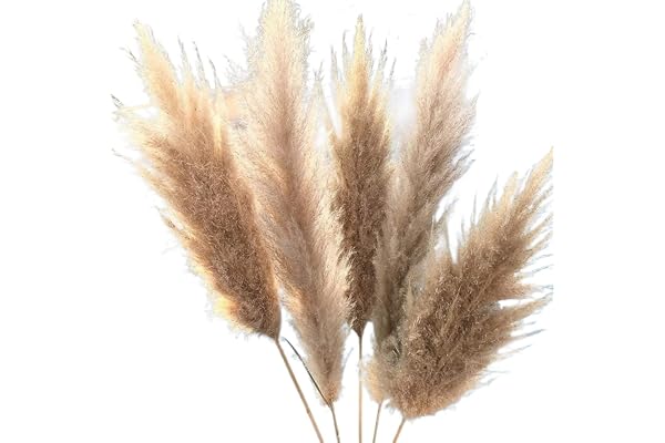 Falsk växt simulerade torkade blommor, Stort Pampas Grass Blomarrangemang Fluffig Ural Bröllopsbukett Hög torkad blomsterceremoni Modern hemträdgård ​Inredning Pampas Grass Vas(10pcs)