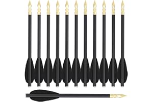 WANVZMR 6,3" Carbon Pistole Armbrust Bolzen Pfeile,Mini Armbrustbolzen Armbrustpfeile mit Stahlspitzen Jagdpfeile für 50-80 lbs Pistolenarmbrust Präzisionsziel,Schießübungen kleine Jagd