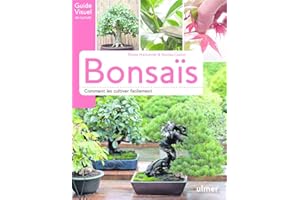 Bonsaïs - Comment les cultiver facilement