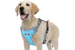 ACXILEXY Harnais de Chien Anti Traction, Harnais Chien Respirant Réglable Facile à Mettre, Réfléchissant Réglable Gilet Chien, Gilet Rembourré Confort Mesh Doux pour Petit Chien Moyen Grand