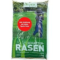 Premium Schattenrasen Rasensamen schnellkeimend für den Herbst 1kg = 30m² | dürreresistent, robust, tiefgrün | Ideal für…