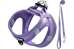 UVTQSSP Hundegeschirr Kleine Hunde Lila Gepolstert, Welpengeschirr, Dog Harness Geschirr Hunde Klein XS