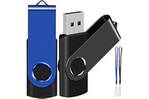 EASTBULL USB Stick 2GB 2Pack USB Memory Stick Pen Drive Flash Drive（Black Blue with Free Lanyard)