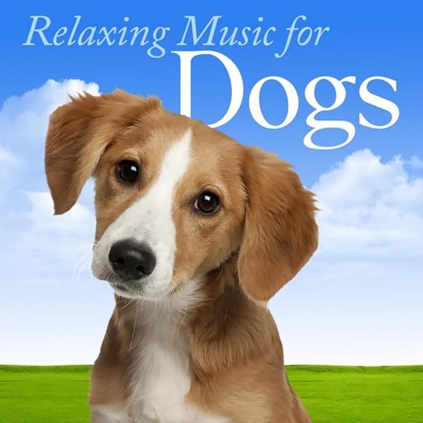 songs that calm down dogs