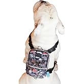 awlook Street Smart K&ouml;pek Sırt &Ccedil;antası &ndash;Su Ge&ccedil;irmez, G&ouml;ğ&uuml;s Tasması Fonksiyonlu, Ayarlanabilir, Skull, &Ccedil;antalı G&ouml;ğ&uuml;s Tasması S