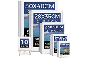 INBURIT Canvas for Painting, 10 Pack Multi Sizes Canvas, Art Canvases for Painting