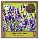 BIO Echter Lavendel Samen (Lavendula spica) Blumensamen mehrjährige & winterharte Pflanze Kräutersame für Garten, Balkon oder