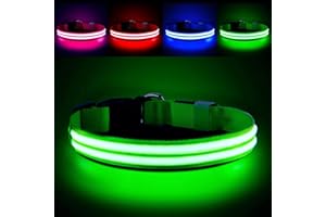 PcEoTllar Light Up Dog Collar - Rechargeable, Waterproof, Adjustable LED Collar for Night - Flashing, Glowing for Small Medium Large Dogs - Green-M