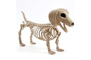 JOYIN Halloween Wiener hund skelett 61 cm plast djur skelett dekorationer med möjliga leder för kyrkogårdsscener hemsökt hus