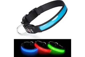 Benxdara Light Up Dog Collar USB Rechargeable, Adjustable LED Dog Collar with 3 Lighting Modes for Small Medium Large Dogs Walking for the Dark Safely - Blue - M