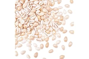 PH PandaHall 150~250pcs Natural Cowrie Shell Beads Oval Spiral Shell Beads Charms for Crafting Summer Necklace Earring Bracelet Anklet Jewellery Making Party Decoration, Hole: 1~2mm