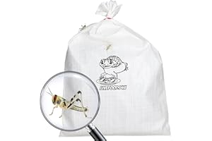 Livefoods4u Live Locusts Large x 100 (2-3.5cm) Reptile and Lizard Livefood Bulk Bag | Locusts Live Food | Live Locust for Reptiles