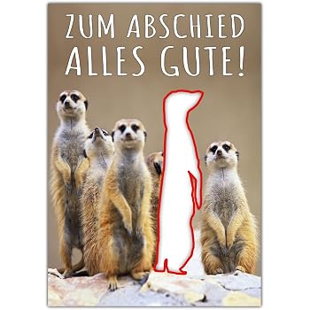 "DU WIRST UNS FEHLEN": 3 x Lustige DIN A 4 Maxi ...