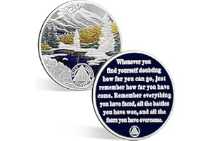 CHURYUML 1 Month Sobriety Coin 30 Day Sobriety Chip One Month AA Coins Recovery Medallions Sobriety Gifts for Men Women Sober Token Alcoholics Anonymous Gift with Capsule, Display & Card
