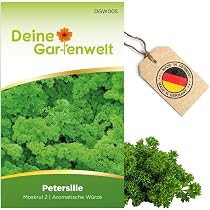 50 Maggikraut Samen – Liebstöckel (Levisticum Officinale) Mehrjährig & Winterhart 50 Maggikraut Samen – Liebstöckel (Levisticum Officinale) Mehrjährig & Winterhart