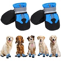 Scarpe Impermeabili Per Cani Bella & Balu - 4 Stivaletti Con Suola Antiscivolo E Dettagli Riflettenti, Taglia S (6cm) - Foto 7