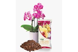 Garten Lux Substrat pour orchidées Phalaenopsis - Terreau d'orchidées de qualité supérieure pour phalaenopsis avec 6 mois d'engrais naturel à base d'écorce de pin - 1 l