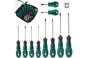 Moendergo Set di 10 cacciaviti magnetici, include 5 cacciaviti a croce e 5 cacciaviti a taglio, con magnetizzatore, set di cacciaviti per fissaggio e allentamento