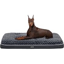 Orthopädisches Hundebett Aus Memory-Schaum – 100x60x10 Cm, Waschbar, Für Mittelgroße Hunde