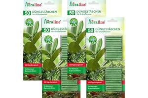 floraline® | 200x Grünpflanzen - Düngestäbchen | Dünger für bis zu 100 Tage prächtige Blumen mit Wachstum und gesundem Aussehen pro Stäbchen | Sehr schonende & kinderleichte Anwendung