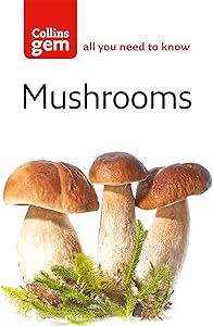 kindle best category lists