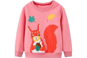 JinBei Sweatshirt für Mädchen Kinder Pullover Baumwolle Top Casual Jumper Kleinkind Einhorn Pferd Druck Langarmshirt Alter 2-7 Jahre alt, Gr.92-122
