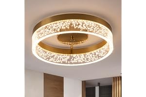 Qcyuui LED Ceiling Light, 20W Flush Mount Kitchen Lighting Gold with Clear Seeded Acrylic Lampshade,Round Ceiling Lamp Lights for Hallway Dining Room