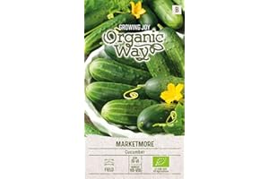 Organic Way | Semillas de PEPINO MARKETMORE | Semillas de Hortalizas | semillas de pepino | semillas de jardín | Variedad de pepino semiprecoz de alto rendimiento | 1 paquete