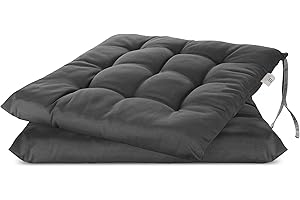 Brandsseller Lot de 2 Coussin de Chaise 40x40 cm Coussin d'assise Rembourrage de Chaise avec Fixations Décoration pour l'intérieur et l'extérieur piqué - Anthracite