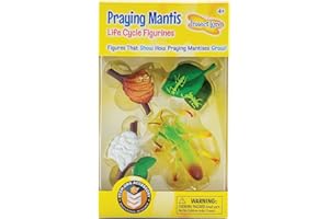 Insect Lore Ilp2510 Mantis -Life Cycle Tapes