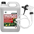 Weedblast Fast Acting Weedkiller 5 Litre with Long Hose Trigger (Ready to use), See Results Within 24 hours