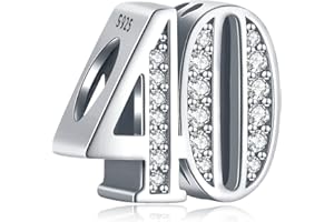 Amuefer Número 16-60 Charms para Pulseras y Collares, Colgante de Plata de Ley con Circonita Cúbica, Navidad Joyería Regalos para Mujeres