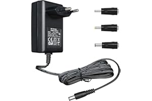 ANLINK Adaptateur Secteur 12V 1A/1000mA, AC 100-240V 50/60Hz vers Chargeur Mural DC 12V 1A/1000mA 12W, Positif Central, câble 1.8m 20AWG pour Une Utilisation Stable et Flexible, 3 Accessoires Inclus