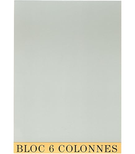 EXACOMPTA 410E Cahier de 80 pages quadrillées - 297 x 210 mm (Cahier de Notes) A