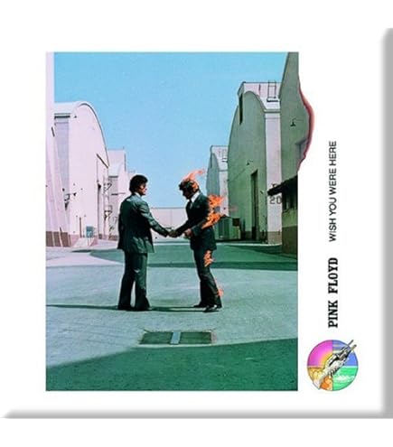 Amazon.de: Pink Floyd Wish You were Here LP Cover Kühlschrankmagnet