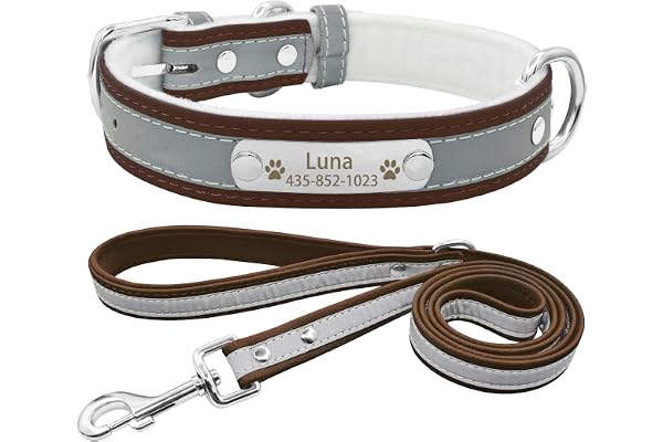 Senristar Collier et Laisse Réfléchissants Personnalisés pour Chien, Collier pour Chien avec Doublure Chaude et Plaque d'identification Gravée pour Petits, Moyens et Grands Chiens & Chats