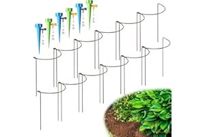 KAZITOO Pack of 12 40 cm Rusty Plant Support Arrows, Natural Rust Semi-Round Flower Support with 6 Self-Watering Spikes, Rusty Metal Networking Garden Border for Peonies, Hydrangea