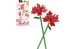 ‎JMBRICKLAYER JMBricklayer Blumenstrauß Bausteine, Blumen Sets für Erwachsene, Aesthetic Room Decor, Botanical Collection, Geschenke für Frauen,Mutter,Ehefrau,Freundin